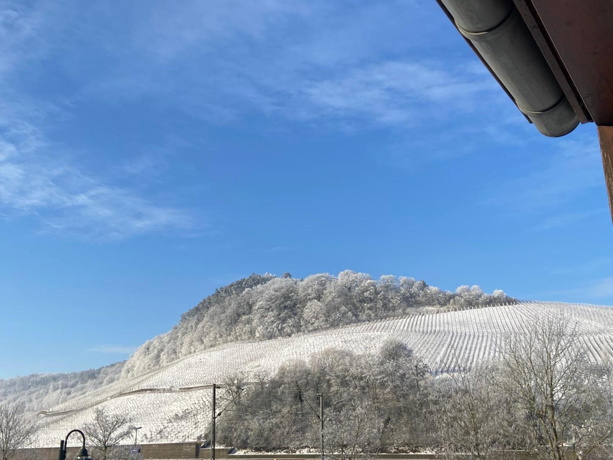 Gaestehaus Und Weingut Bernd Frieden Nittel Εξωτερικό φωτογραφία
