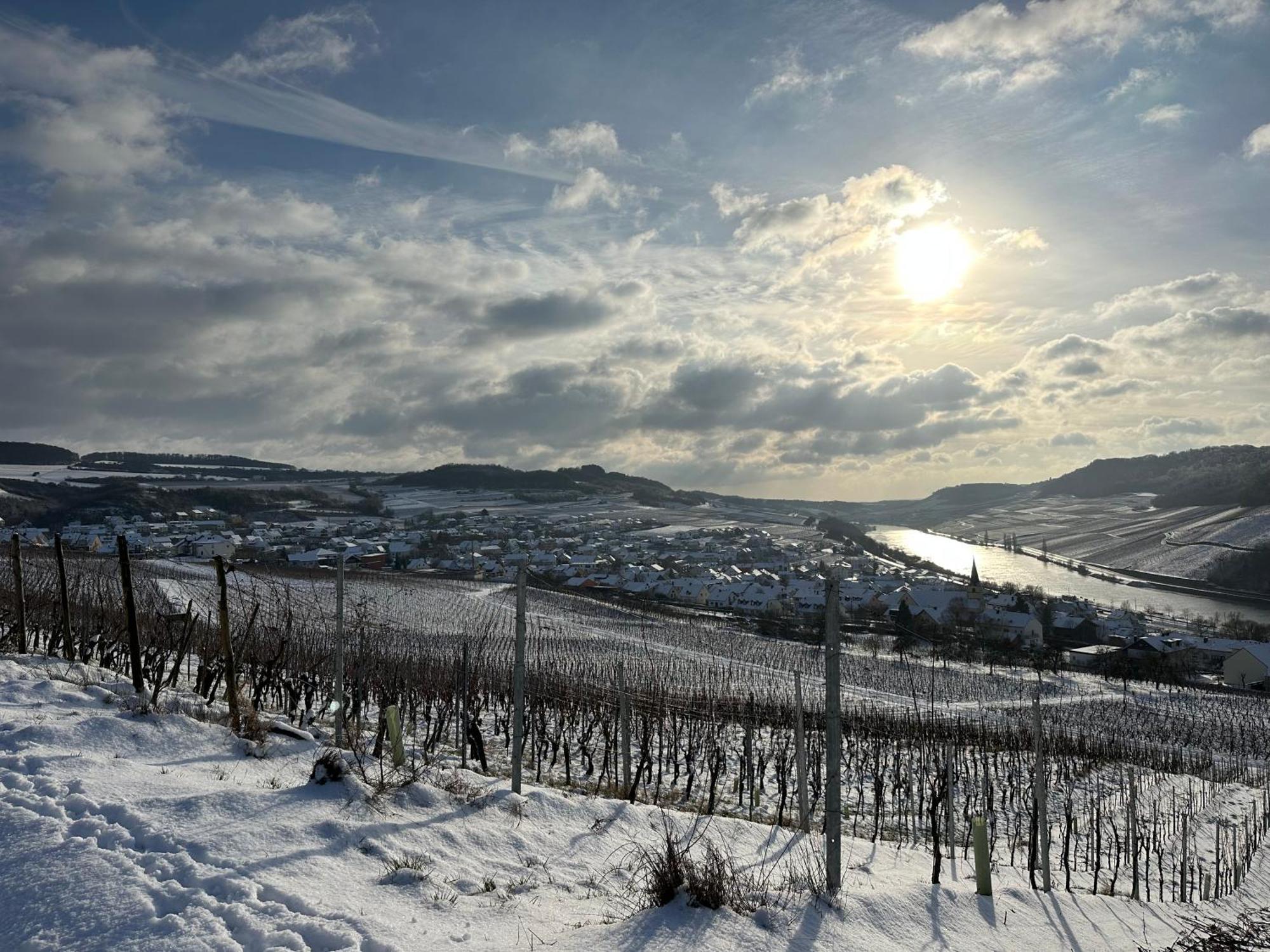 Gaestehaus Und Weingut Bernd Frieden Nittel Εξωτερικό φωτογραφία
