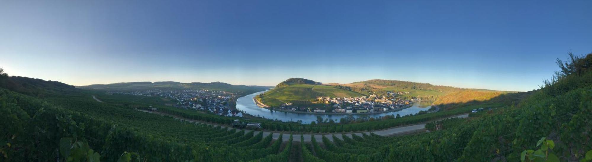 Gaestehaus Und Weingut Bernd Frieden Nittel Εξωτερικό φωτογραφία