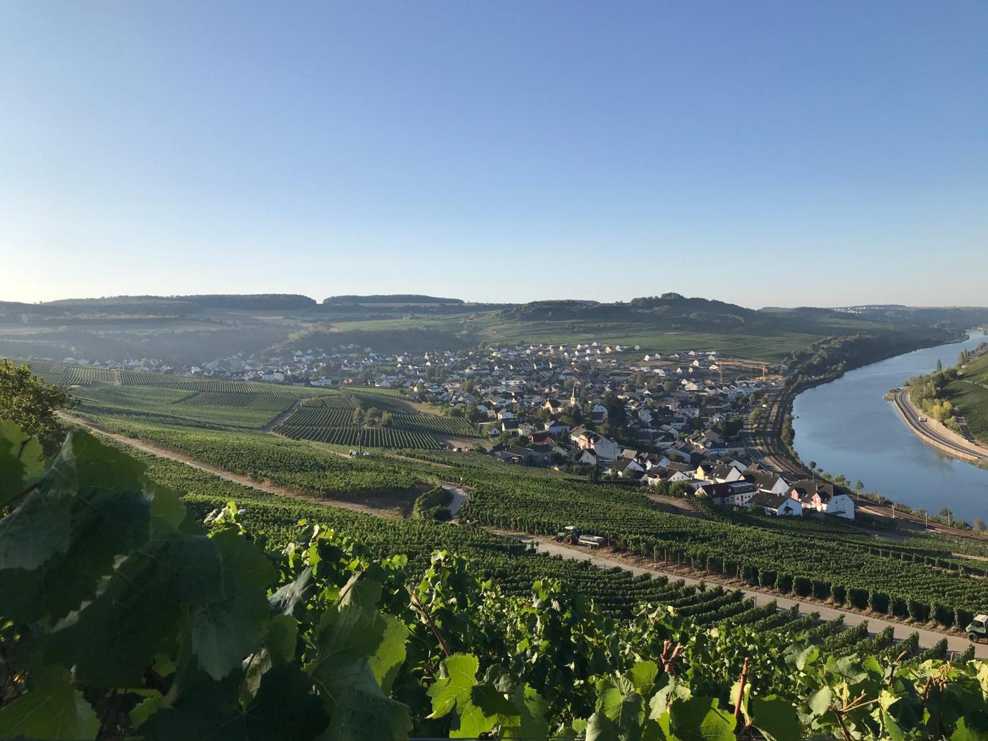 Gaestehaus Und Weingut Bernd Frieden Nittel Εξωτερικό φωτογραφία