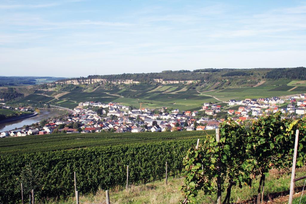 Gaestehaus Und Weingut Bernd Frieden Nittel Εξωτερικό φωτογραφία