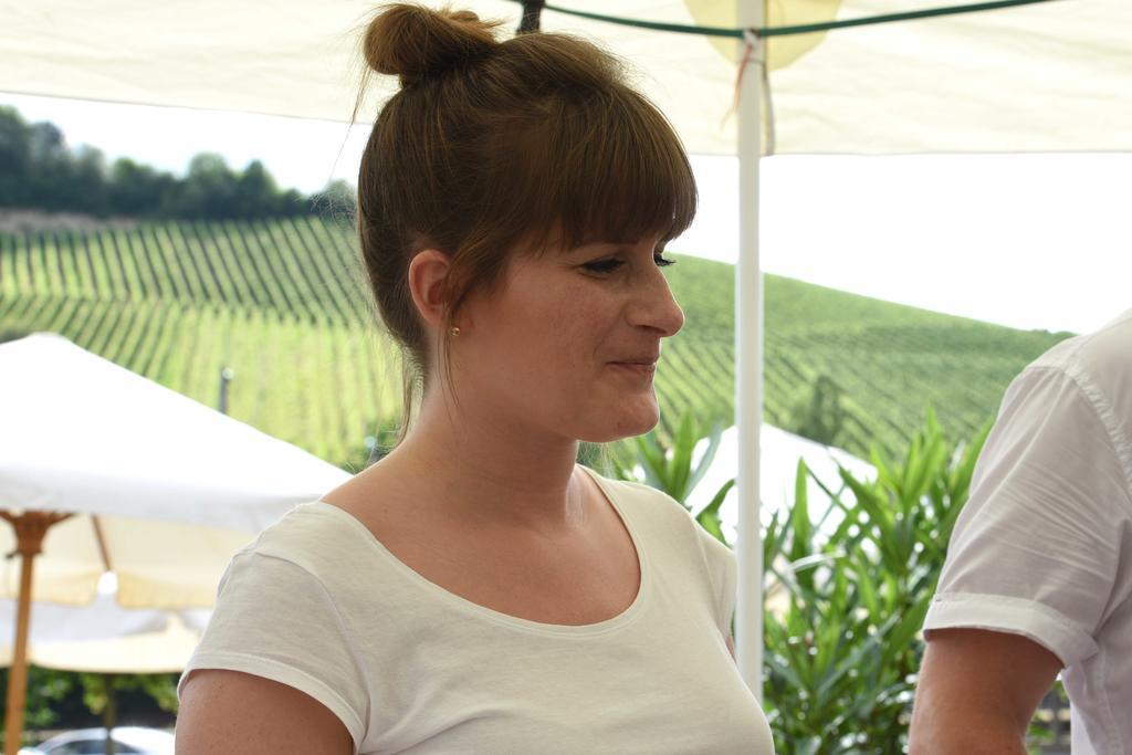 Gaestehaus Und Weingut Bernd Frieden Nittel Εξωτερικό φωτογραφία